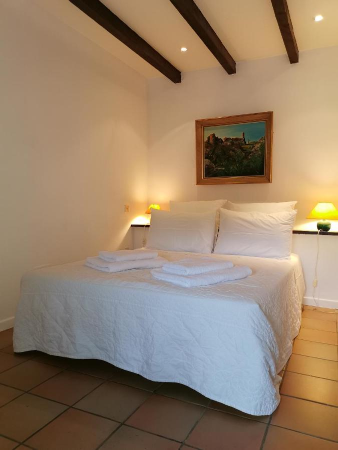 Le Cellier De Beaulieu, Au Pied De La Cite, Maison De Vacances Avec Climatisation Et Jacuzzi Carcassonne Exteriér fotografie