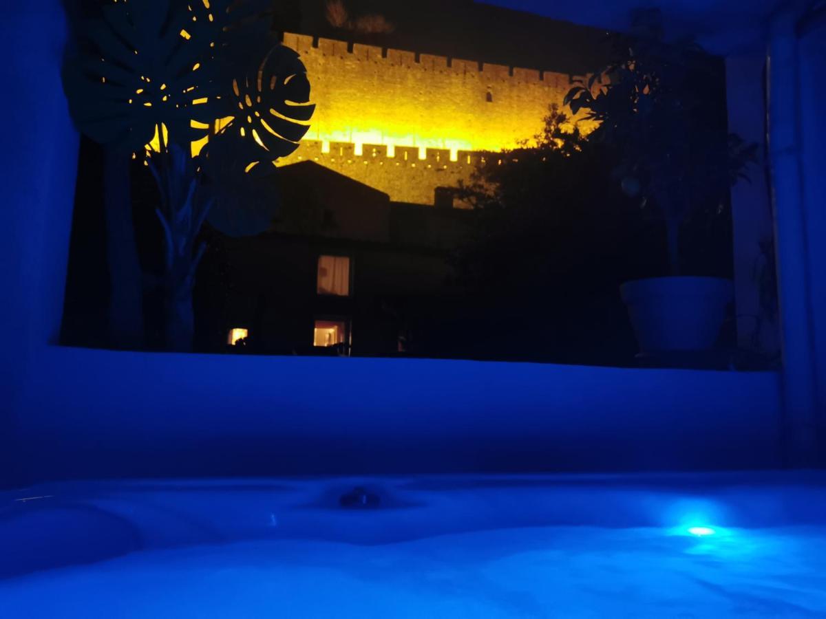 Le Cellier De Beaulieu, Au Pied De La Cite, Maison De Vacances Avec Climatisation Et Jacuzzi Carcassonne Exteriér fotografie
